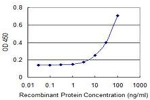 Detection limit for recombinant GST tagged GRINL1A is 1 ng/ml as a capture antibody. (POLR2M Antikörper  (AA 269-368))