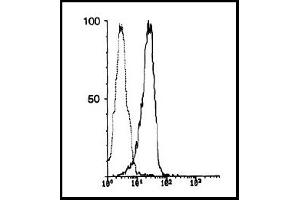 Flow Cytometry (FACS) image for anti-Carboxypeptidase M (CPM) antibody (ABIN786856) (CPM Antikörper)