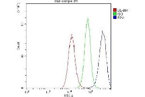 Flow Cytometry analysis of U251 cells using anti- Beta 2 Microglobulin antibody (ABIN5518810). (beta-2 Microglobulin Antikörper  (AA 22-119))