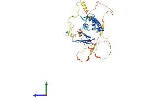 Protein Structure (PS) image for E2F Transcription Factor 1 (E2F1) (AA 1-430) protein (His tag) (ABIN7563917)