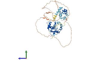Protein Structure (PS) image for V-Ets erythroblastosis Virus E26 Oncogene Homolog 1 (Avian) (ETS1) (AA 1-441) protein (His tag) (ABIN7547429)