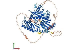 Protein Structure (PS) image for MON1 Homolog B (MON1B) (AA 1-553) protein (His tag) (ABIN7558776)
