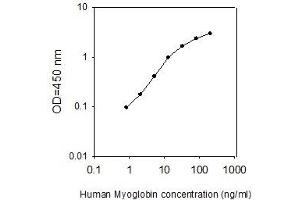 ELISA image for Myoglobin (MB) ELISA Kit (ABIN4883846)