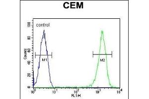 RCN3 Antibody (Center) (ABIN651973 and ABIN2840479) flow cytometric analysis of CEM cells (right histogram) compared to a negative control cell (left histogram). (RCN3 Antikörper  (AA 134-163))
