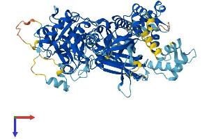 PLCD1 Protein (AA 1-756) (His tag)