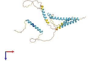 CAMLG Protein (AA 1-294) (His tag)