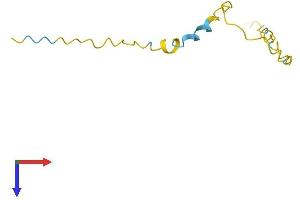 HMGN4 Protein (AA 1-90) (Fc Tag)