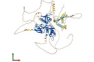 Protein Structure (PS) image for Erythrocyte Membrane Protein Band 4.1 (Elliptocytosis 1, RH-Linked) (EPB41) (AA 1-864) protein (His tag) (ABIN7551865)