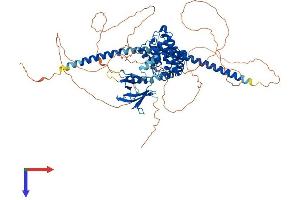 ARHGAP24 Protein (AA 1-748) (His tag)