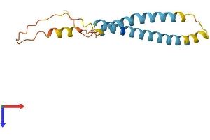 IFITM3 Protein (AA 1-137) (His tag)