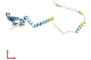 Protein Structure (PS) image for DnaJ (Hsp40) Homolog, Subfamily C, Member 5 beta (DNAJC5B) (AA 1-199) protein (His tag) (ABIN7560521)