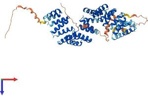 BBS4 Protein (AA 1-520) (His tag)