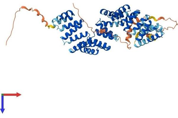BBS4 Protein (AA 1-520) (His tag)