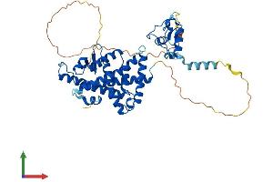 Protein Structure (PS) image for Nuclear Receptor Subfamily 1, Group H, Member 2 (NR1H2) (AA 1-446) protein (His tag) (ABIN7557585)