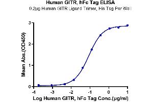 ELISA image for Tumor Necrosis Factor Receptor Superfamily, Member 18 (TNFRSF18) (AA 26-161) protein (Fc Tag) (ABIN7274787)