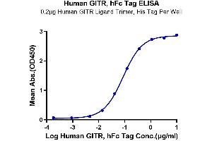 Immobilized Human GITR Ligand Trimer, His Tag at 2 μg/mL (100 μL/well) on the plate. (TNFRSF18 Protein (AA 26-161) (Fc Tag))