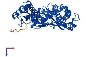 MAT1A Protein (AA 1-396) (His tag)