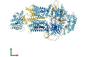 AlphaFold protein structure predicition of Mouse Recombinant Abca6 Protein, UniprotID Q8K441