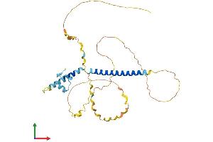 Protein Structure (PS) image for SWI5-Dependent Recombination Repair 1 (SFR1) (AA 1-319) protein (His tag) (ABIN7558793)