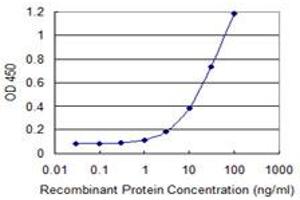 Detection limit for recombinant GST tagged UBE2N is 0. (UBE2N Antikörper  (AA 1-152))