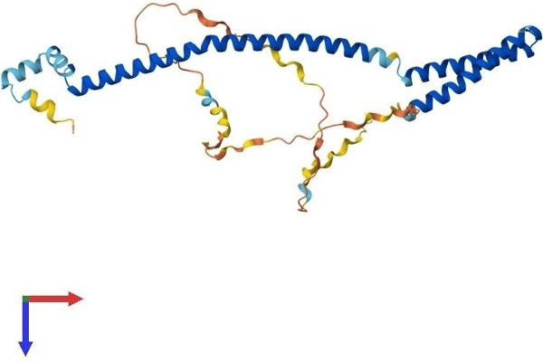 VPS37B Protein (AA 1-285) (His tag)