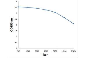 ELISA image for anti-ATP-Binding Cassette, Sub-Family D (Ald), Member 3 (ABCD3) (AA 51-160) antibody (ABIN1386868)