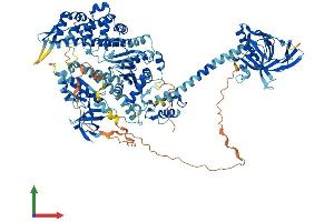 Protein Structure (PS) image for Myosin IF (MYO1F) (AA 1-1098) protein (His tag) (ABIN7554638)