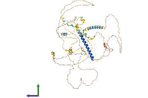 Protein Structure (PS) image for CREB Regulated Transcription Coactivator 1 (CRTC1) (AA 1-634) protein (His tag) (ABIN7553580)