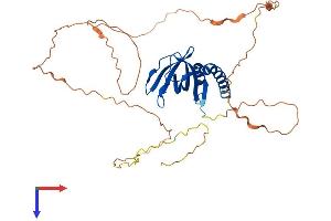 SPATA22 Protein (AA 1-358) (His tag)
