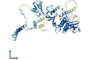 Protein Structure (PS) image for Membrane Protein, Palmitoylated 3 (MAGUK P55 Subfamily Member 3) (MPP3) (AA 1-585) protein (His tag) (ABIN7549554)
