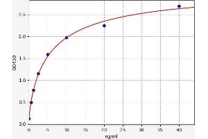 Typical standard curve (Myoferlin ELISA Kit)