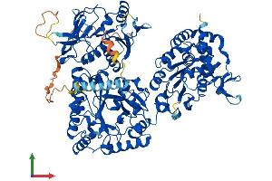 AlphaFold protein structure predicition of Human Recombinant NDST1 Protein, UniprotID P52848 (NDST1 Protein (AA 1-882) (His tag))