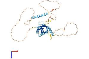 HERPUD1 Protein (AA 1-391) (His tag)