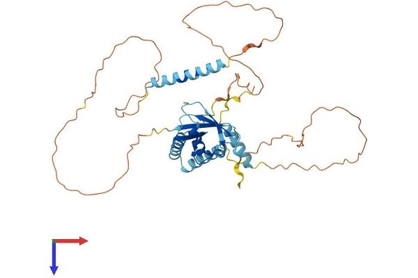 HERPUD1 Protein (AA 1-391) (His tag)