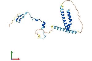 Protein Structure (PS) image for Partner of Y14 and mago (WIBG) (AA 1-203) protein (His tag) (ABIN7559338)