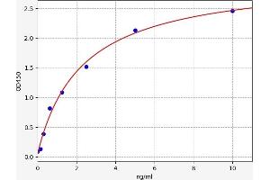 PLA2G6 ELISA Kit