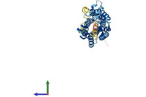 GPR77 Protein (AA 1-337) (His tag)