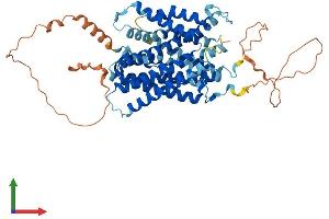 Protein Structure (PS) image for Solute Carrier Family 38 Member 4 (SLC38A4) (AA 1-547) protein (His tag) (ABIN7555405)