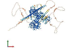 Protein Structure (PS) image for Signal-Induced Proliferation-Associated 1 (SIPA1) (AA 1-1042) protein (His tag) (ABIN7555568)