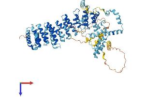 SDAD1 Protein (AA 1-687) (His tag)