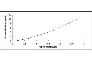 Breast Carcinoma Amplified Sequence 4 (BCAS4) ELISA Kit