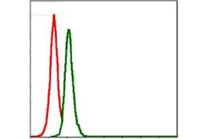Flow cytometric analysis of MCF-7 cells using SRC monoclonal antobody, clone 1F11  (green) and negative control (red).