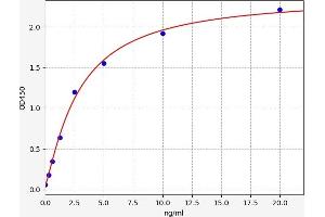 Typical standard curve (ELA2B ELISA Kit)