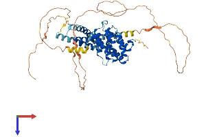 TOM1L1 Protein (AA 1-476) (His tag)