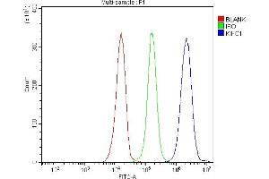 Flow Cytometry analysis of JK cells using anti-KIFC1 antibody (ABIN7599523). (KIFC1 Antikörper  (AA 1-673))