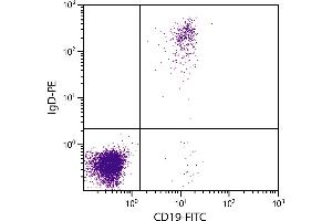 Human peripheral blood lymphocytes were stained with Goat F(ab’)2 Anti-Human IgD-PE and Mouse Anti-Human CD19-FITC. (Ziege anti-Human IgD Antikörper (PE))