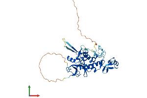 Protein Structure (PS) image for LIM and Cysteine-Rich Domains 1 (LMCD1) (AA 1-365) protein (His tag) (ABIN7549153)