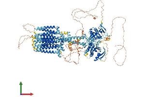 Protein Structure (PS) image for Adenylate Cyclase 9 (ADCY9) (AA 1-1353) protein (His tag) (ABIN7563399)