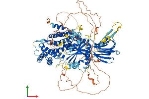 Protein Structure (PS) image for Phosphoinositide-3-Kinase, Regulatory Subunit 5 (PIK3R5) (AA 1-871) protein (His tag) (ABIN7563846)