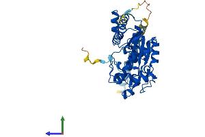 AlphaFold protein structure predicition of Human Recombinant TPST1 Protein, UniprotID O60507 (TPST1 Protein (AA 1-370) (His tag))